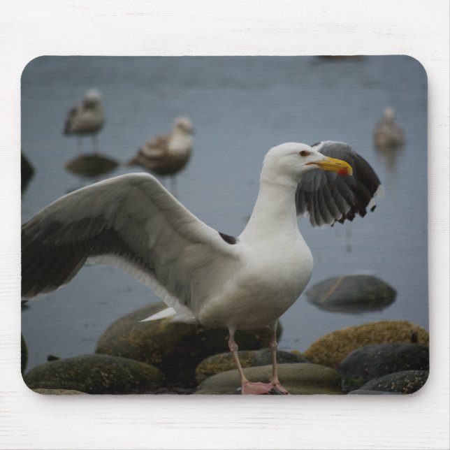 Do Not Disturb Mousepad (Front)