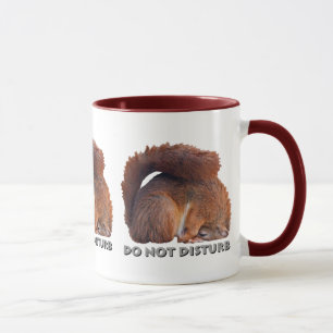 Do Not Disturb Mug