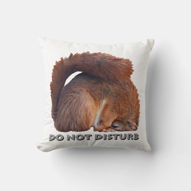Do Not Disturb Pillow (White) (Front)