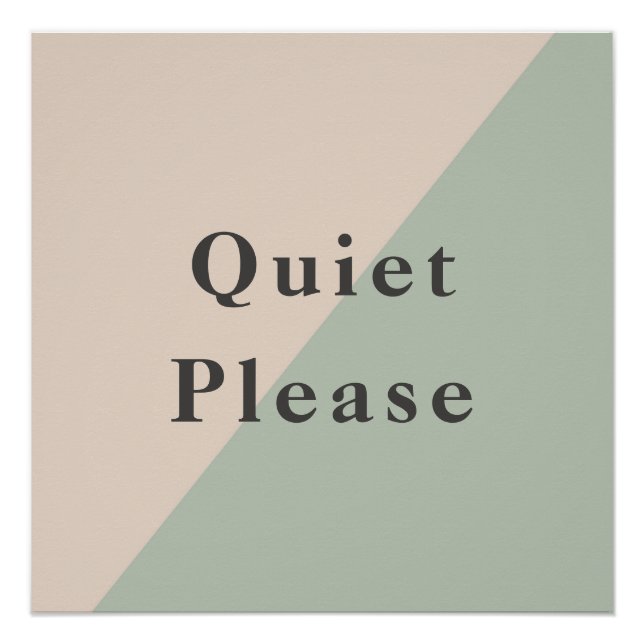 Do Not Disturb Quiet Space Productivity Poster (Front)