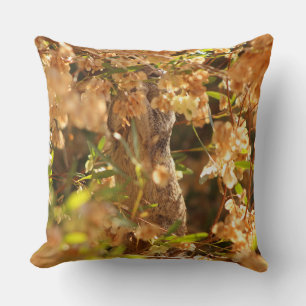 Do not Disturb - Squirrel Eating Seeds Cushion