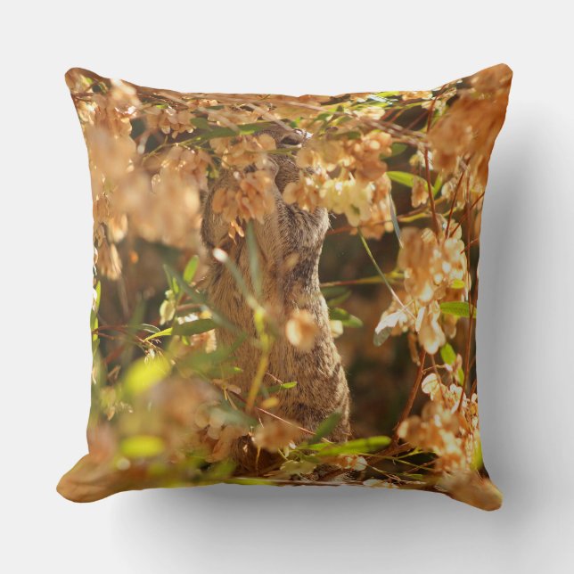 Do not Disturb - Squirrel Eating Seeds Cushion (Front)