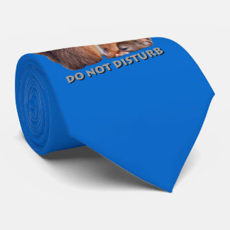 Do Not Disturb Tie (Blue)