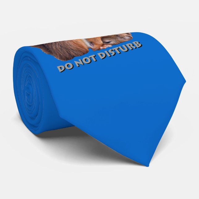 Do Not Disturb Tie (Blue) (Rolled)