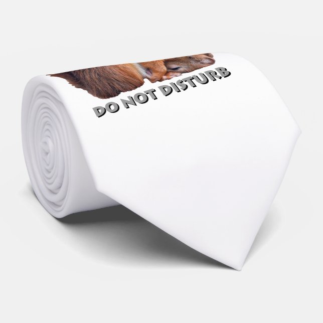 Do Not Disturb Tie (Choose Colour) (Rolled)