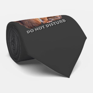 Do Not Disturb Tie (Dark Grey)