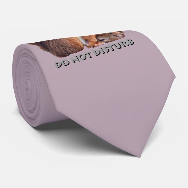 Do Not Disturb Tie (Dusty Pink) (Rolled)