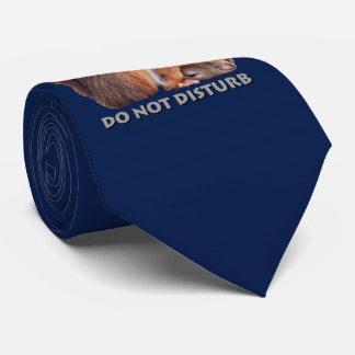Do Not Disturb Tie (Navy)