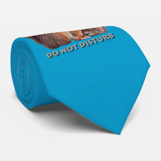 Do Not Disturb Tie (Turquoise)