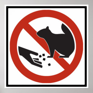 Do Not Feed the Squirrels Highway Sign