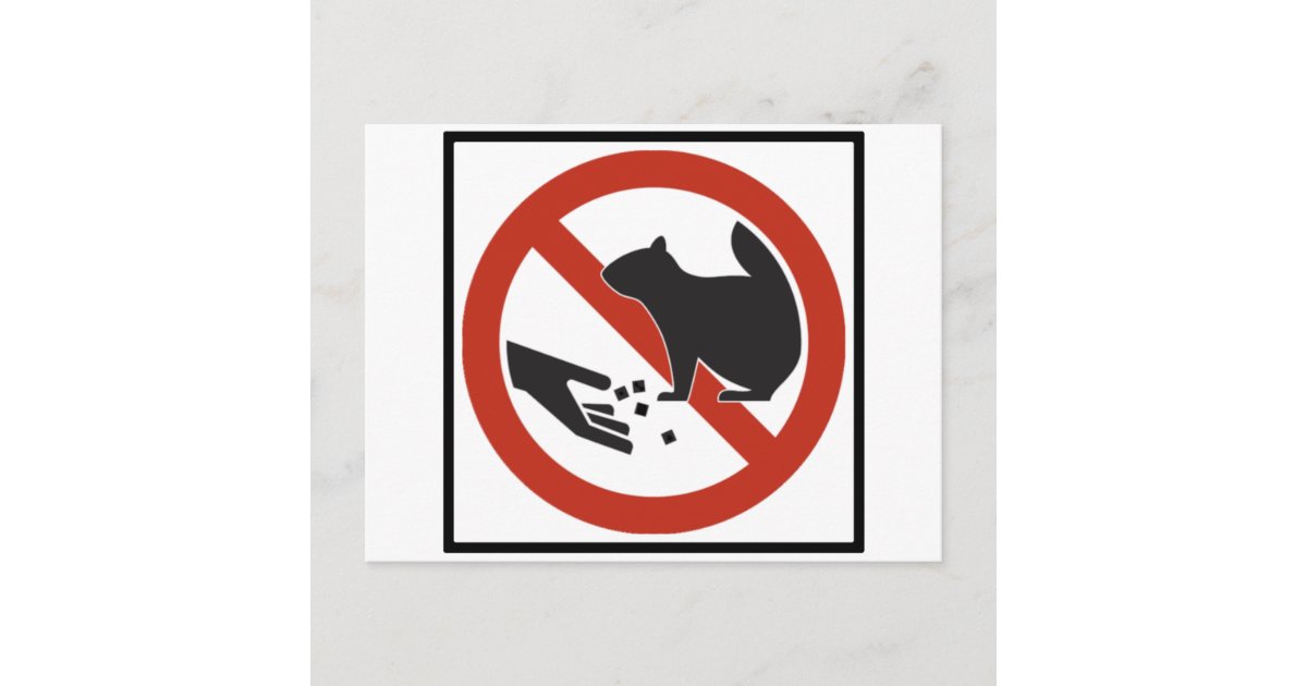 Do Not Feed the Squirrels Highway Sign Postcard Zazzle