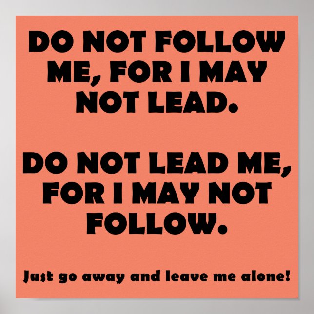 Do Not Follow Or Lead Funny Poster Sign (Front)