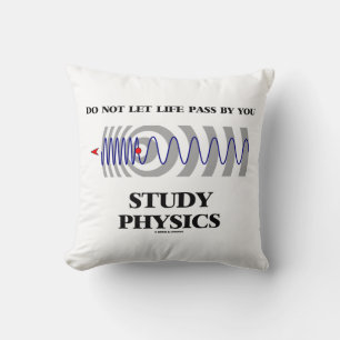 Do Not Let Life Pass By You Study Physics Cushion