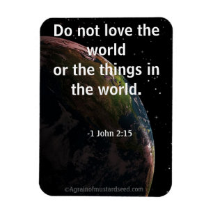 Do not love the world bible quote magnet