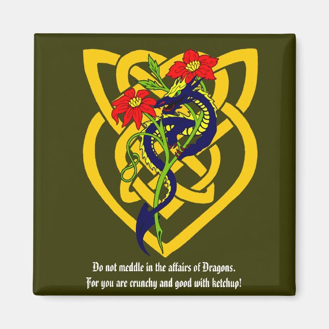 Do not meddle in the affairs of Dragons. Magnet (Front)