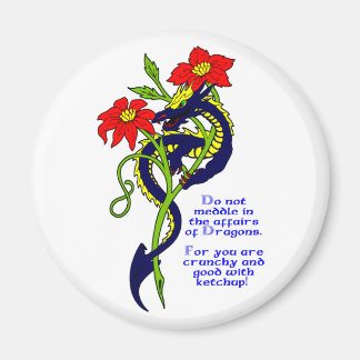 Do not meddle in the affairs of Dragons. Magnet