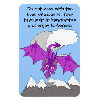 do not mess with dragons magnet