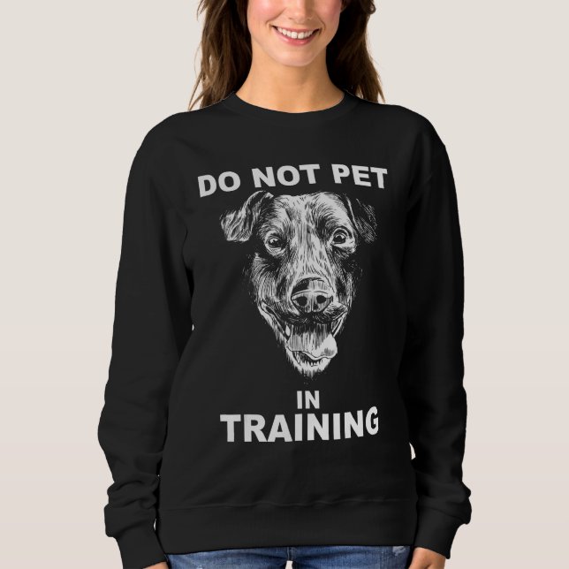 Do Not Pet Dog Training Sweatshirt (Front)