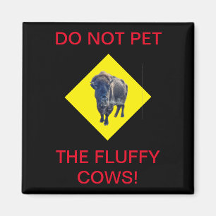 Do Not Pet the Fluffy Cows! Magnet