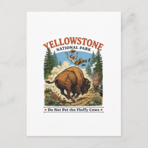 Do Not Pet The Fluffy Cows , Yellowstone National Postcard