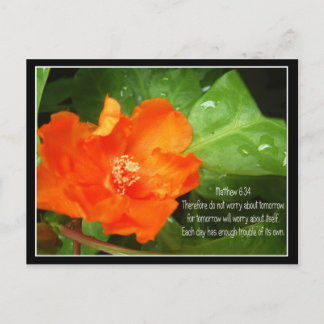 Do Not Worry About Tomorrow Postcard