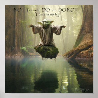 DO or DONT Poster