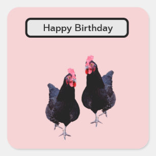 Do The Black Chickens Strut,  Square Sticker