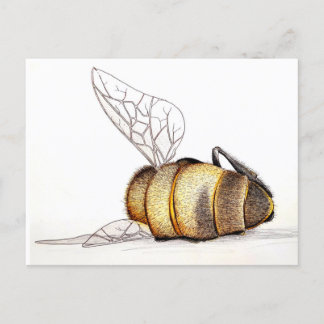 Do we even care? holiday postcard