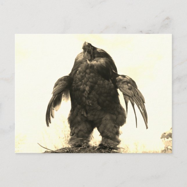 Do You Even Lift, Bro? - Postcard (Front)