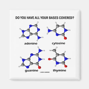 Do You Have All Your Bases Covered? (DNA Bases) Magnet