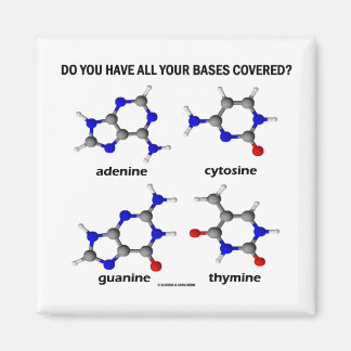Do You Have All Your Bases Covered? (DNA Bases) Magnet