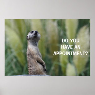 DO YOU HAVE AN APPOINTMENT? - poster / print