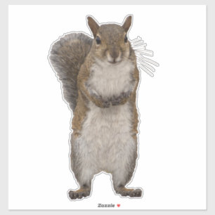 Do you have some nuts?