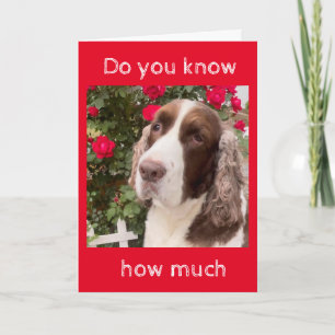 DO YOU KNOW HOW MUCH ***I LOVE YOU*** CARD