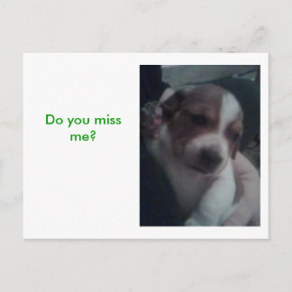 Do you miss me? postcard