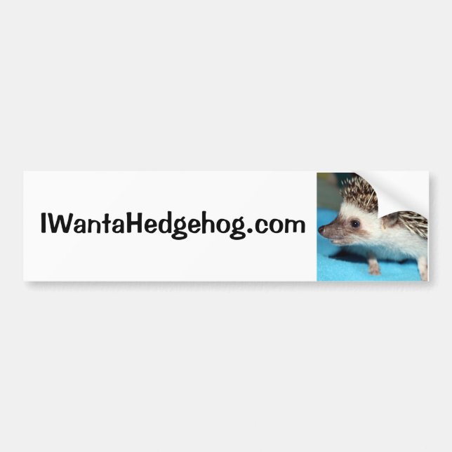 Do You Want a Hedgehog? Bumper Sticker (Front)