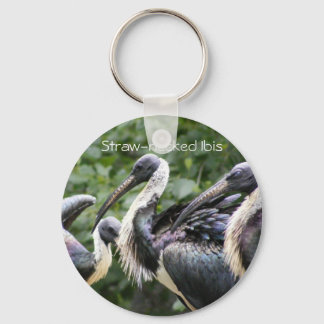 Do You Zoo? Straw-necked Ibis Key Ring