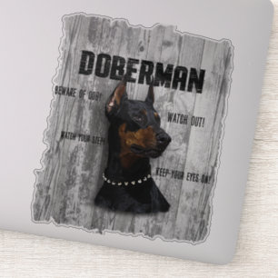 Doberman