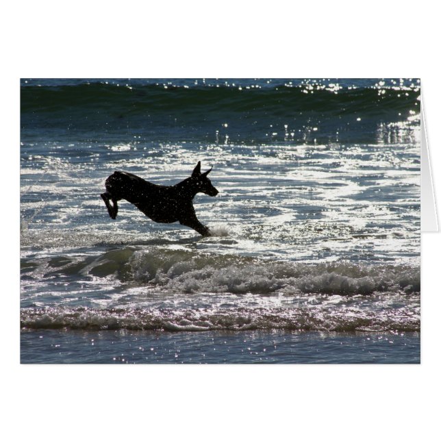 Doberman - Black - Ocean Leap (Front Horizontal)