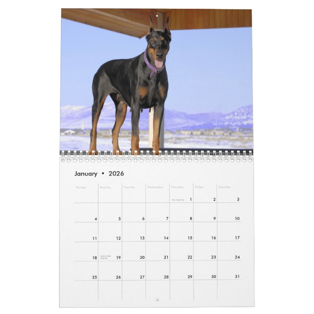 Doberman Calendar 2013 (Jan 2026)