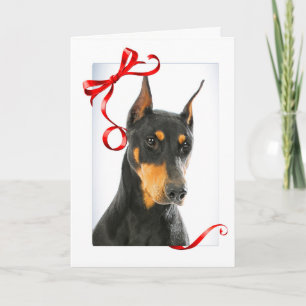 Doberman Christmas Card