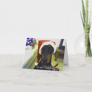 Doberman Christmast card