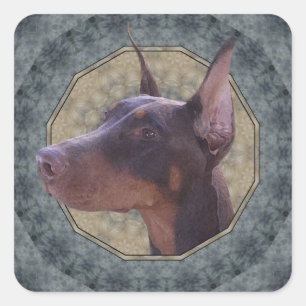 Doberman Classic Sticker