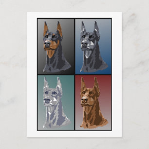 Doberman Colours Postcard