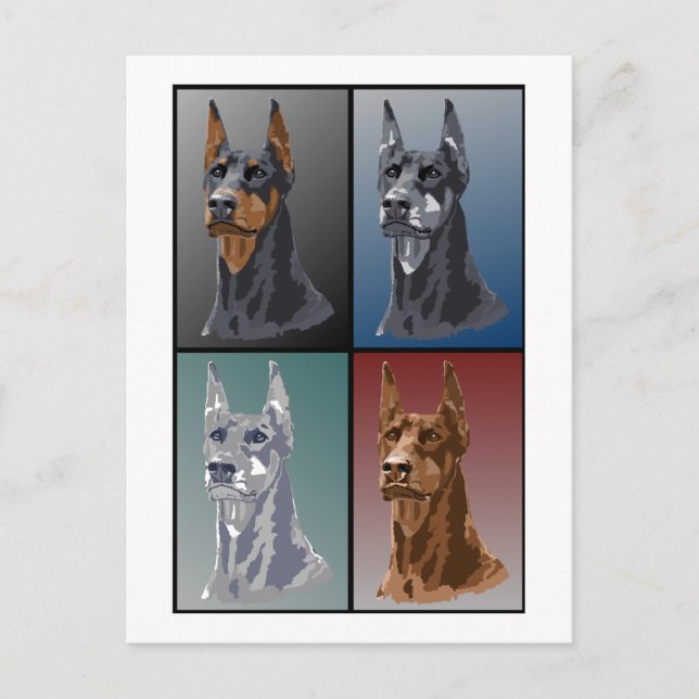Doberman Colours Postcard (Front)