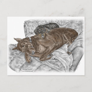 Doberman Dog and Puppy Postcard