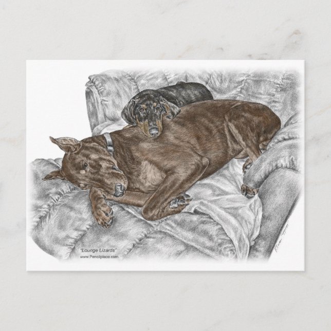 Doberman Dog and Puppy Postcard (Front)