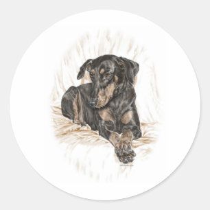 Doberman Dog Natural Ears Classic Round Sticker