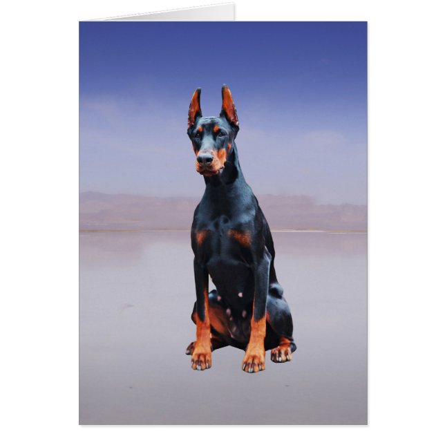 Doberman Dog Sitting On Beach (Front)