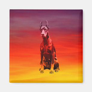 Doberman Dog Sitting On Beach Magnet